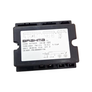 30179535 CONTROLLO FIAMMA CM31